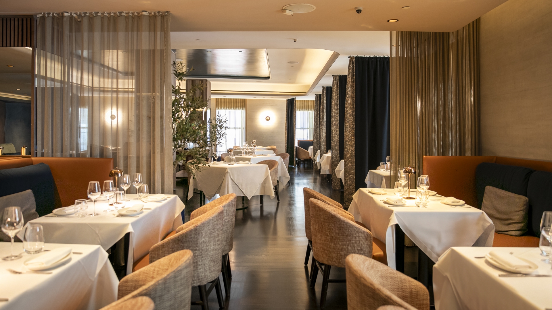 Charlie Palmer Steak IV | The Knickerbocker