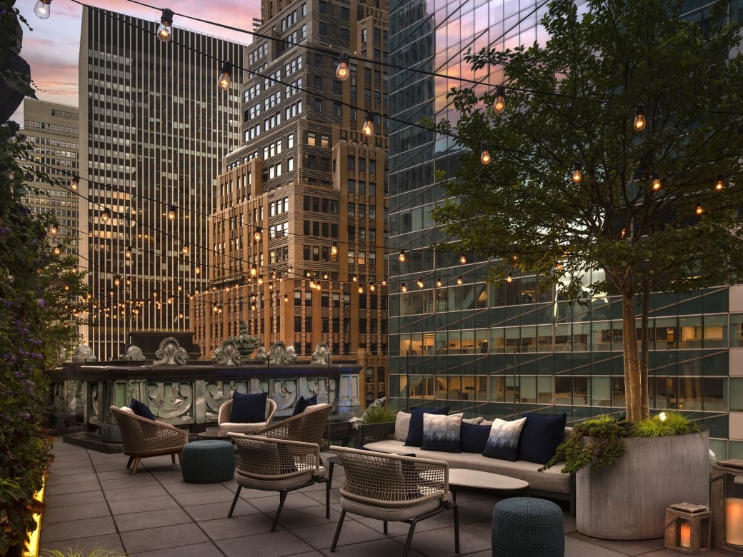 The Martini Lounge | The Knickerbocker