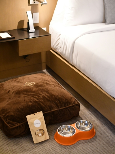 A hotel room with a brown dog bed, orange pet bowls, and a bed with white linens.