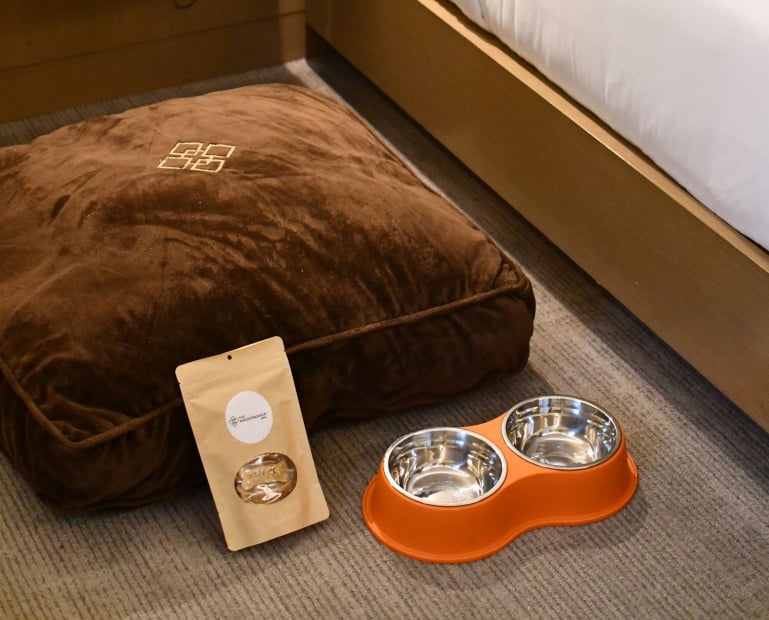 A brown dog bed, a pet food bowl, and a treat bag on the floor of a hotel room.