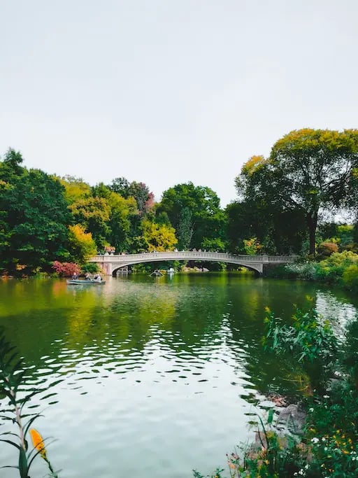 beautiful day at the Central Park Lake