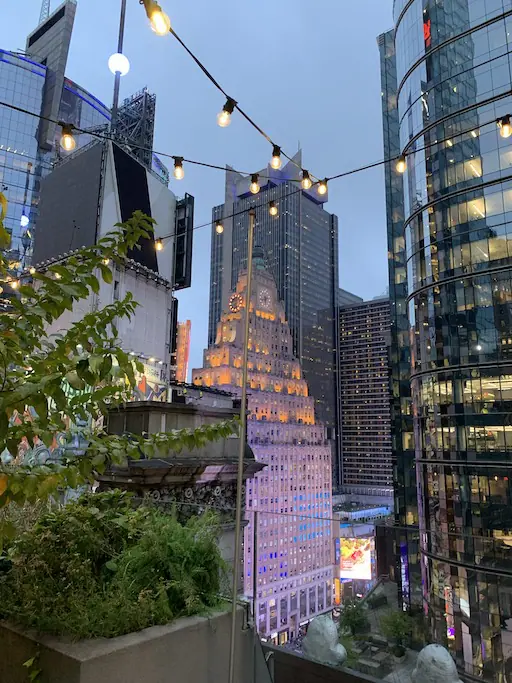 view from rooftop of nyc