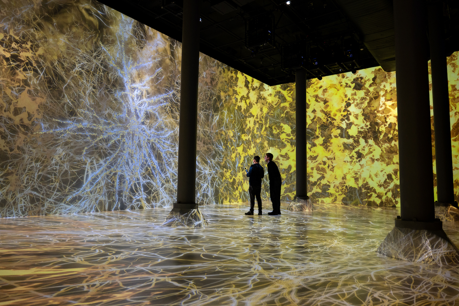 two people looking at an installation