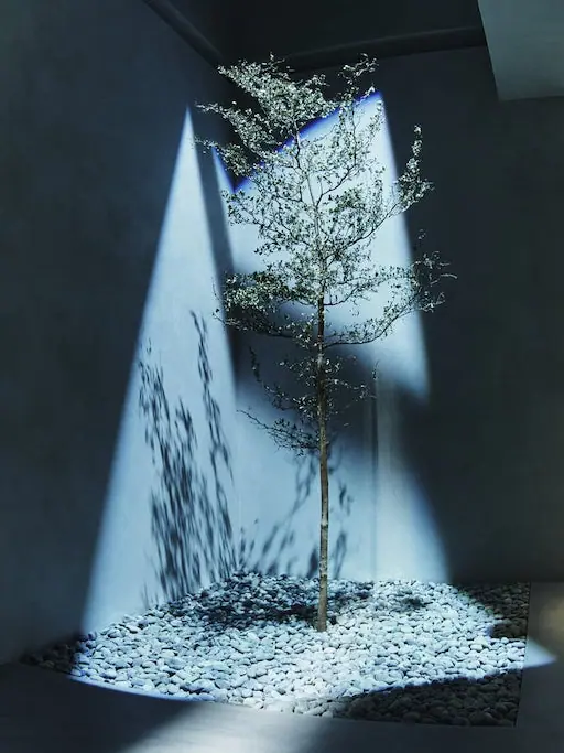 a tree with mood lighting