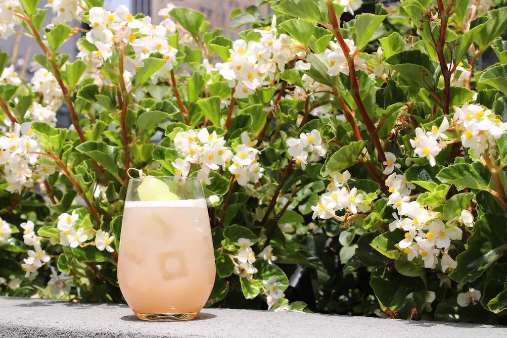 the US Open Signature Cocktail