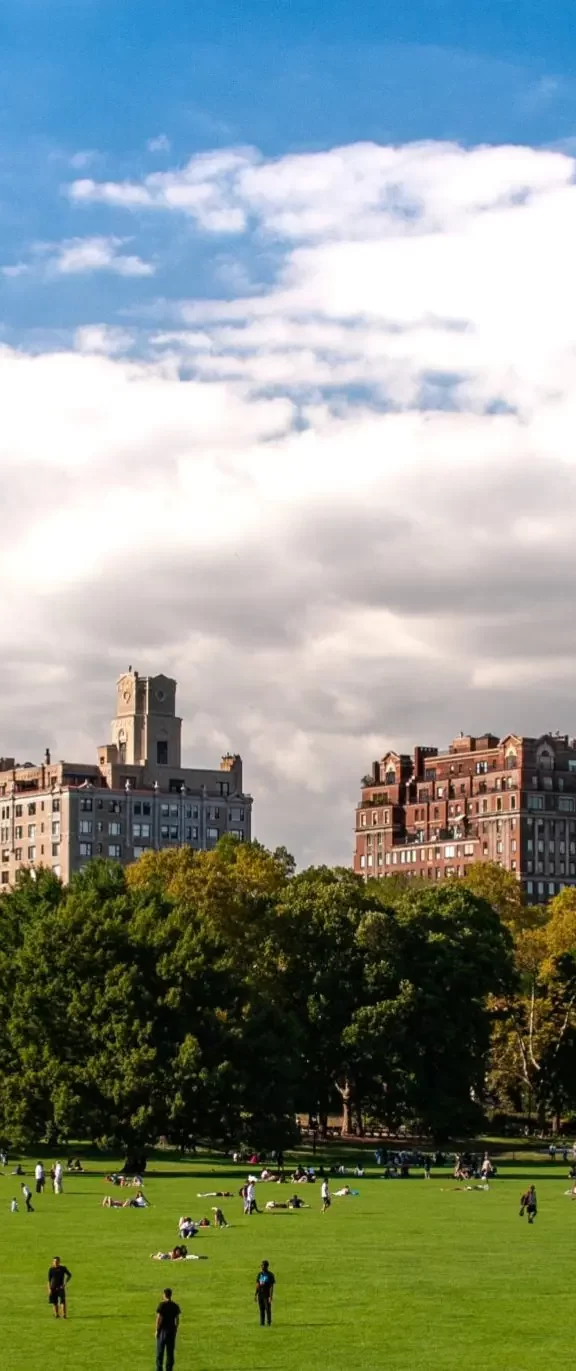 people in a park with buildings in the background