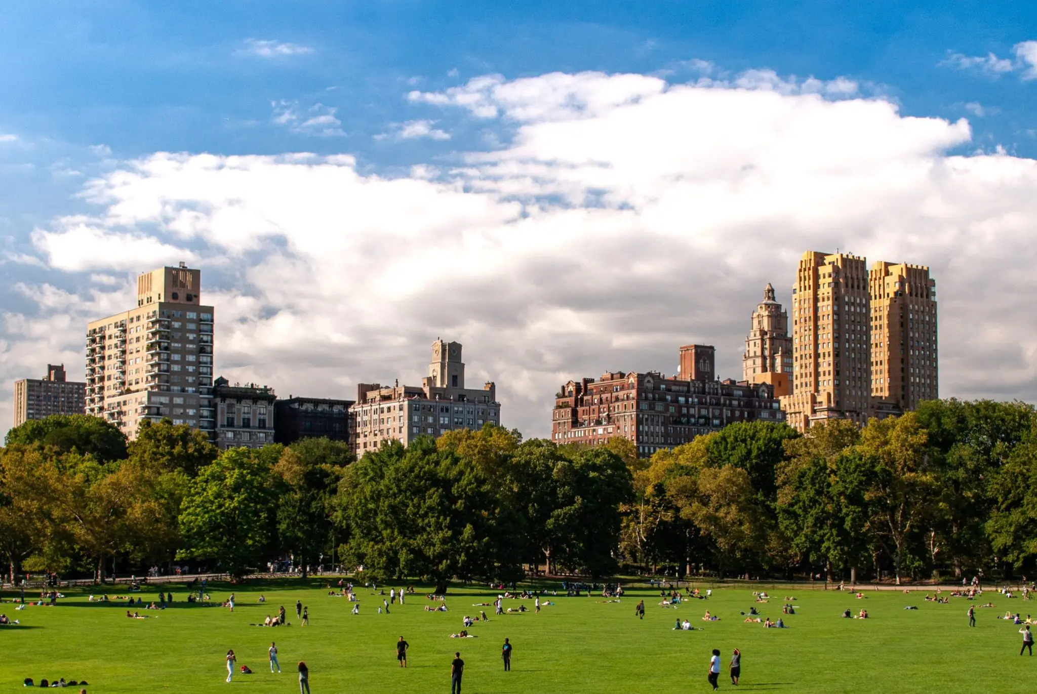 people in a park