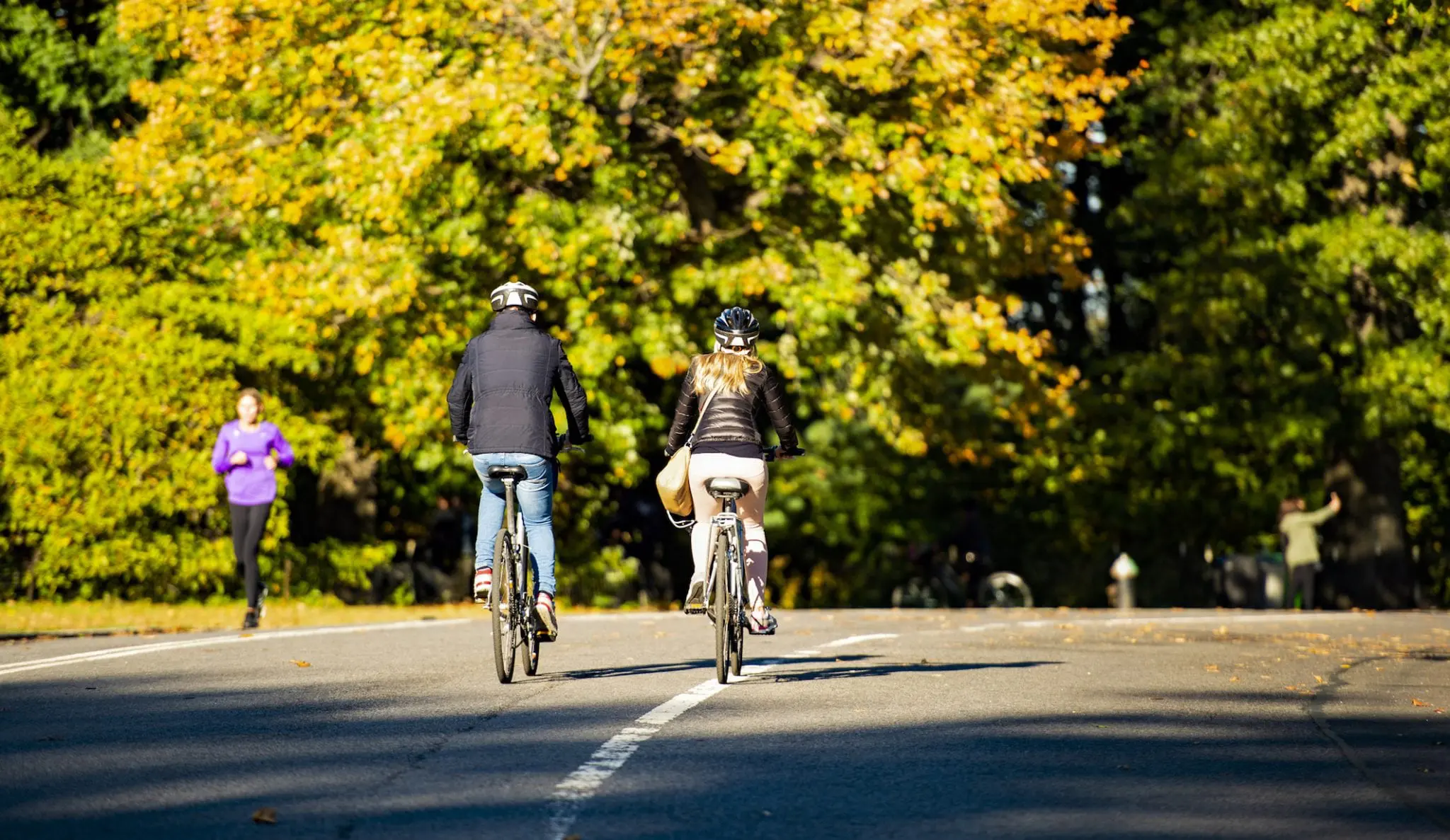 people riding bikes in the park