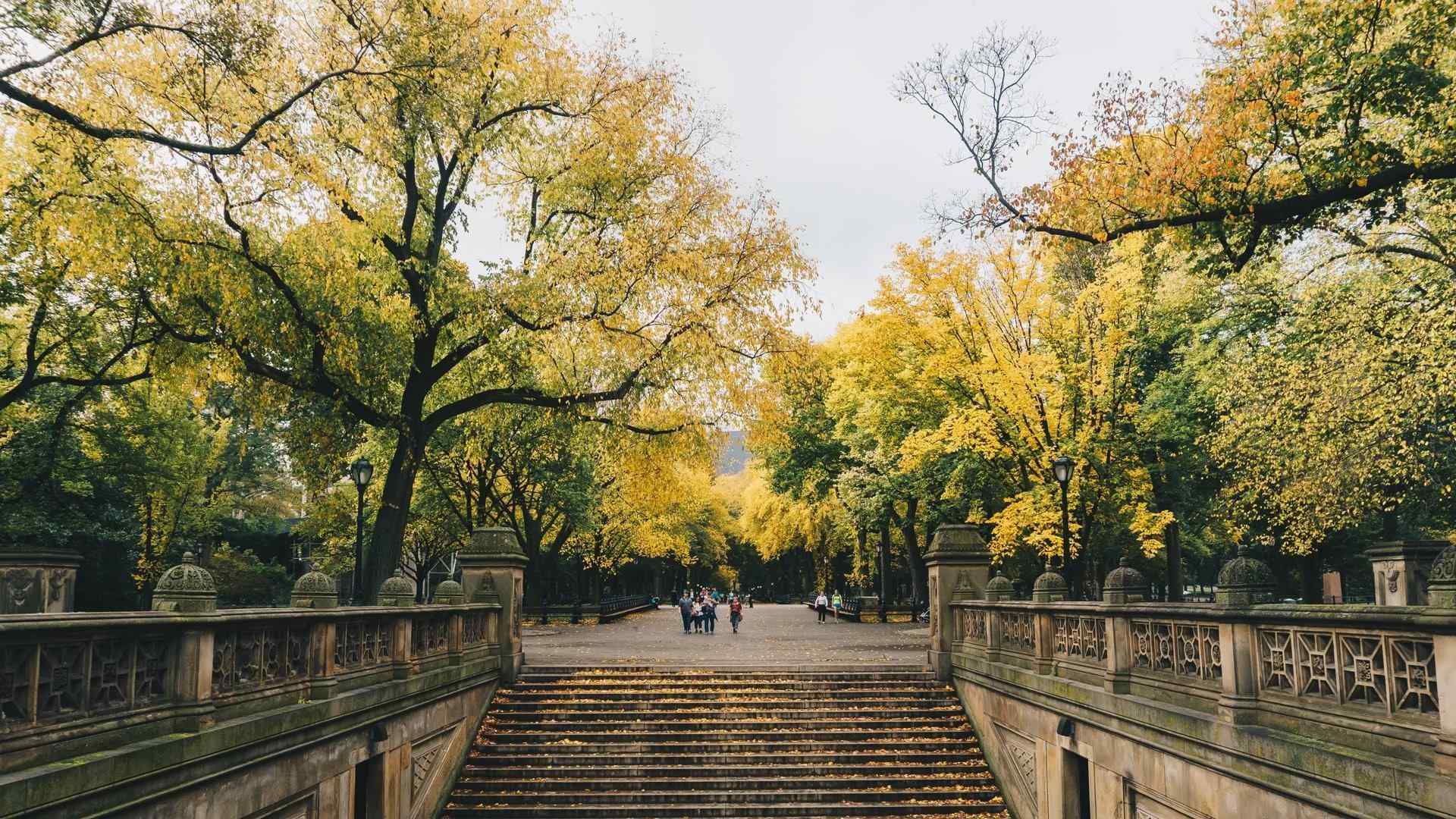 central park in the fall