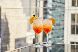 Knickerbocker Cocktail