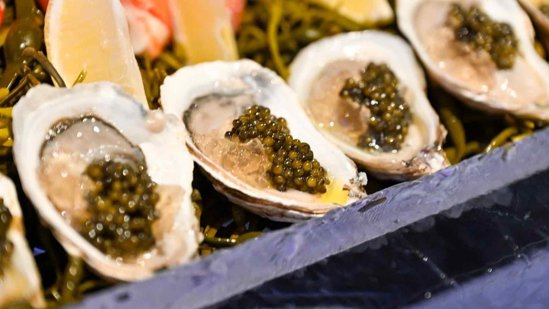 sea food