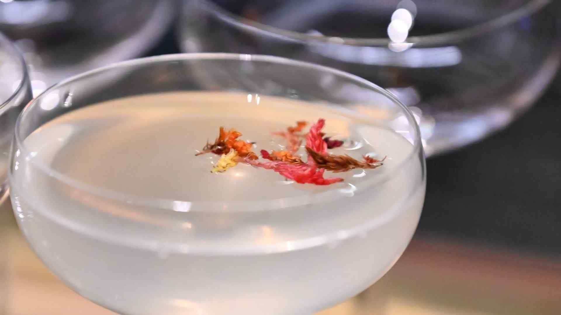 coctails