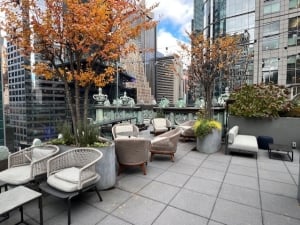 Best Rooftop Bar in NYC